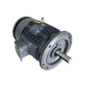 Liang Chi Cooling Tower Motor