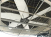 FRP Lopatka ventil&aacute;toru Profil vytlačov&aacute;n&iacute; průmyslov&eacute;ho chlazen&iacute;