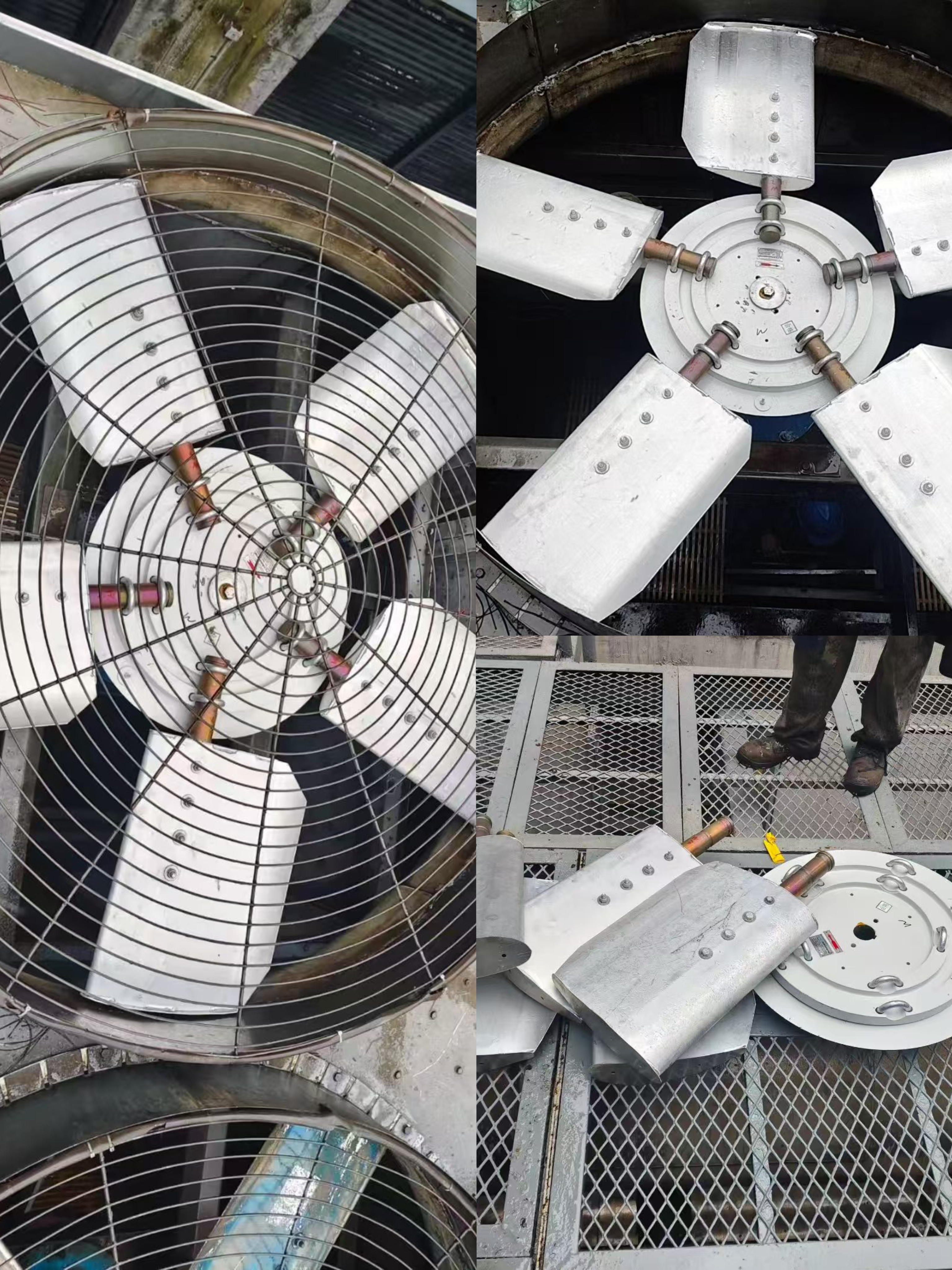 微信图片_20260205142518_401_62