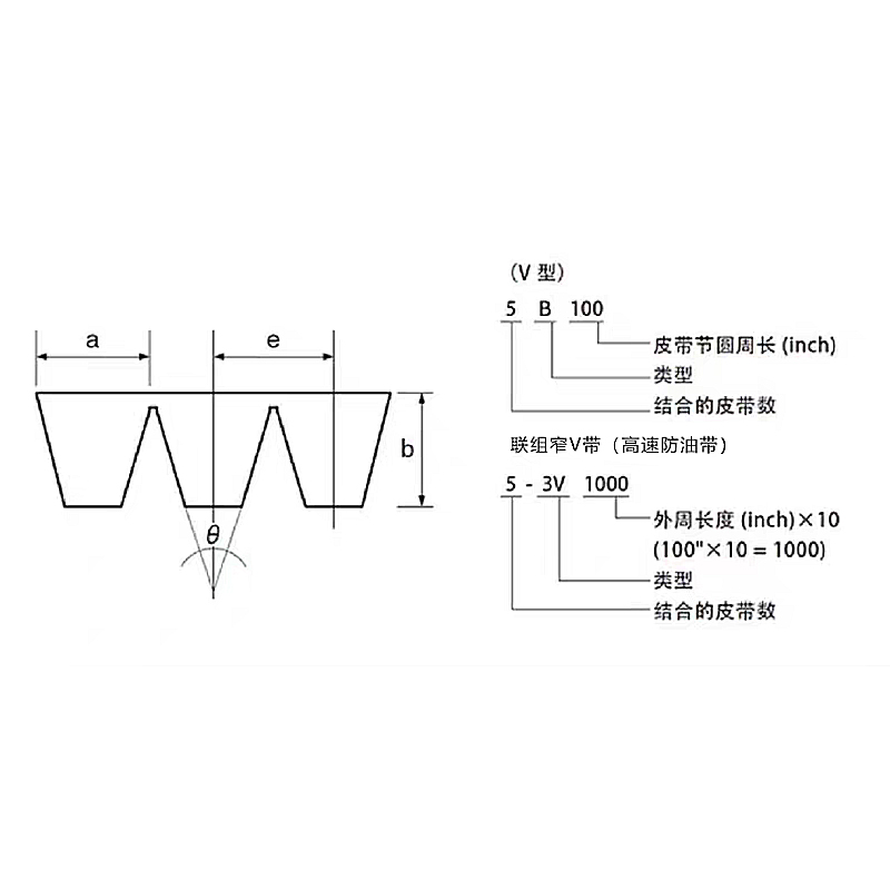 益美高皮带3