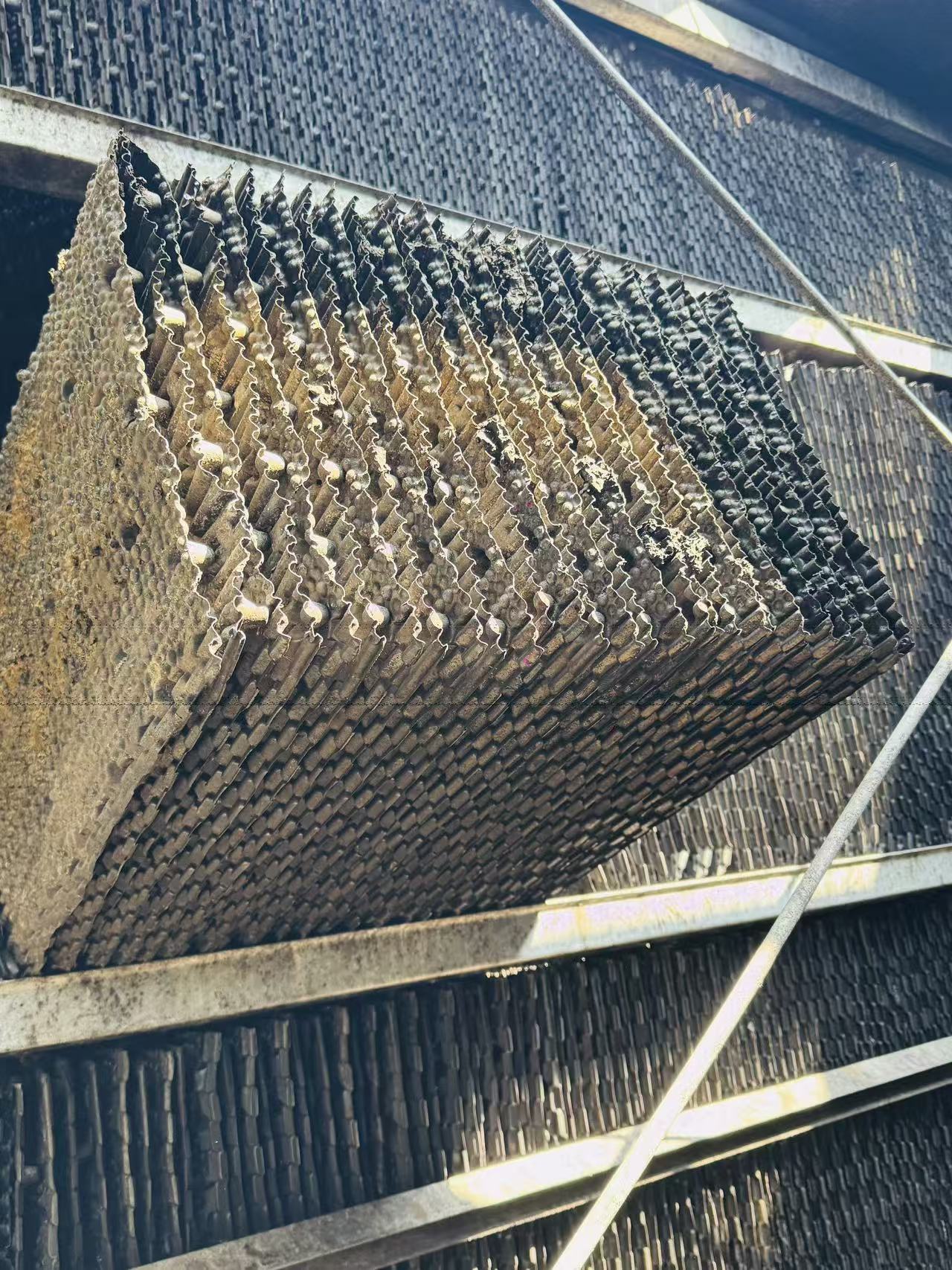 微信图片_20260320143736_444_2